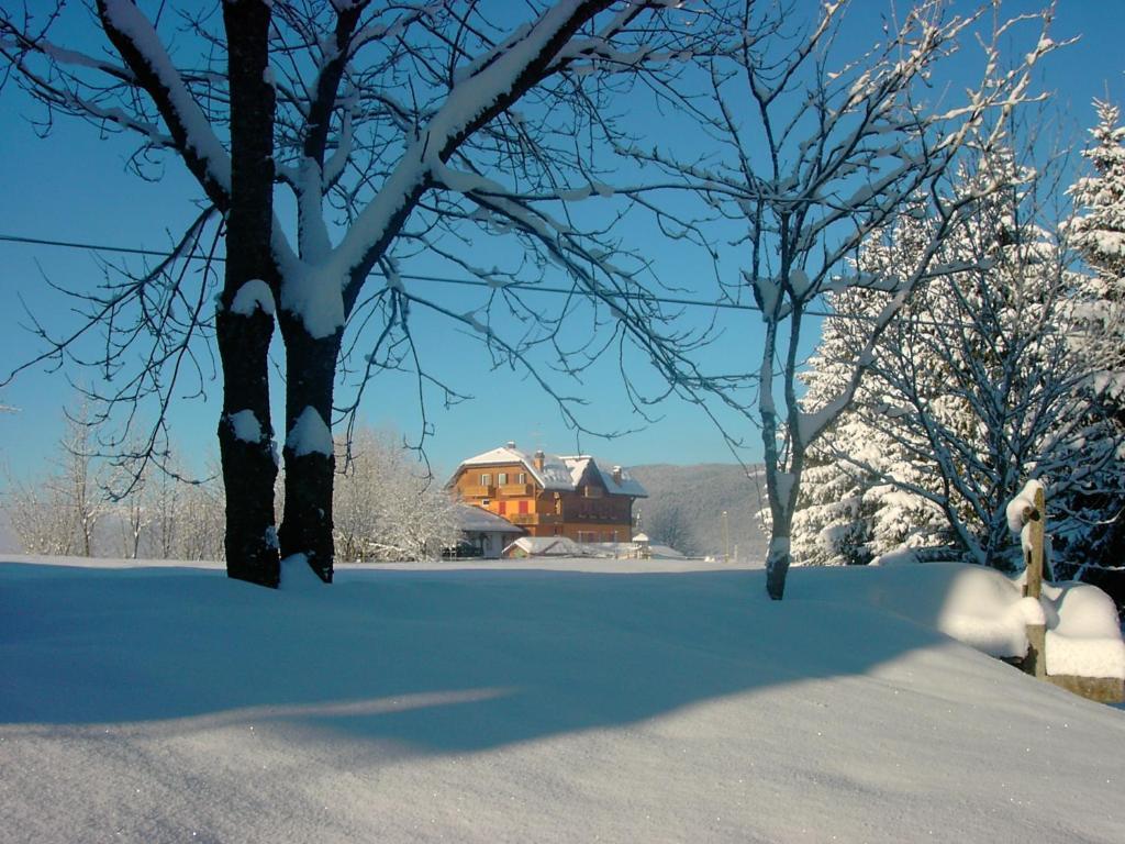 Hotel Da Barba B&B Asiago Exteriér fotografie