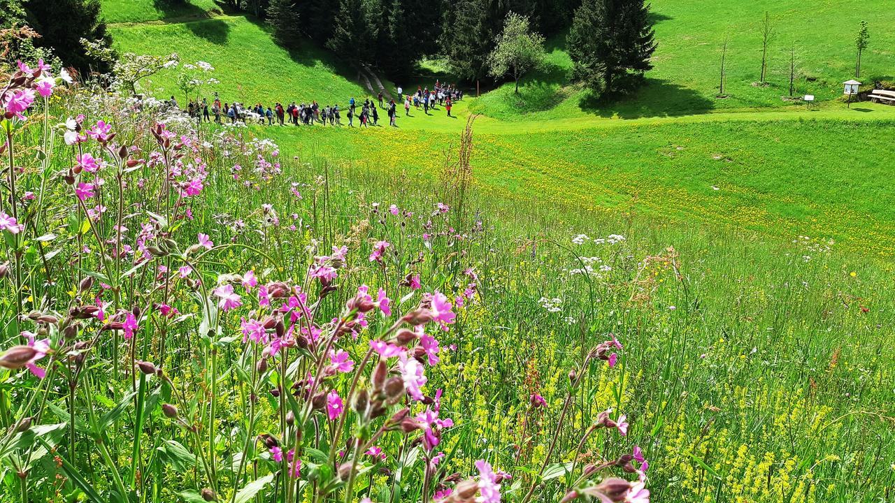 Hotel Da Barba B&B Asiago Exteriér fotografie